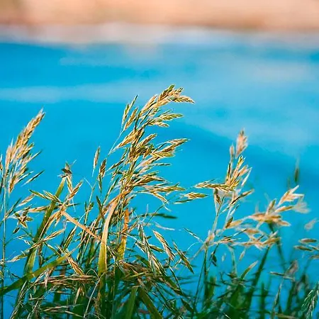 La De Anexo Langre (Cantabria)